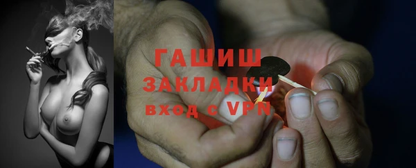 прущие грибы Тайга